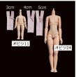 画像3: 5cm 加工済み細幅ファスナー (3)